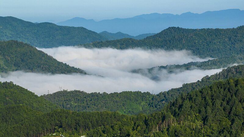Discover Wuzhi Mountain: Hainan’s Majestic Five-Finger Peak Discover_Wuzhi_Mountain__Hainan_s_Majestic_Five_Finger_Peak video poster