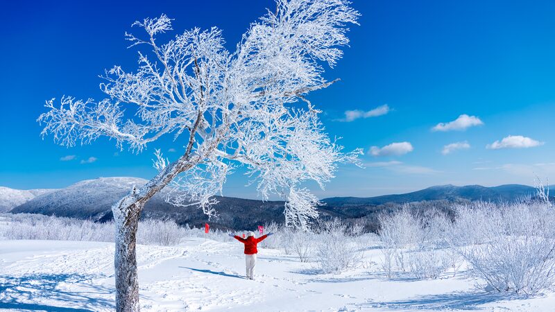 Discover_Yangcao_Mountain__Winter_Wonderland_in_China_Snow_Town