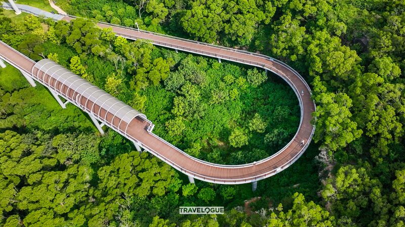 Discover_the_Perfect_Half_Marathon_Trail_with_Ocean_Views - My Global News: Voices of a New Era Discover_the_Perfect_Half_Marathon_Trail_with_Ocean_Views