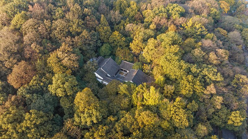 Discover_the_Timeless_Beauty_of_West_Lake_in_Hangzhou - My Global News: Voices of a New Era Discover_the_Timeless_Beauty_of_West_Lake_in_Hangzhou