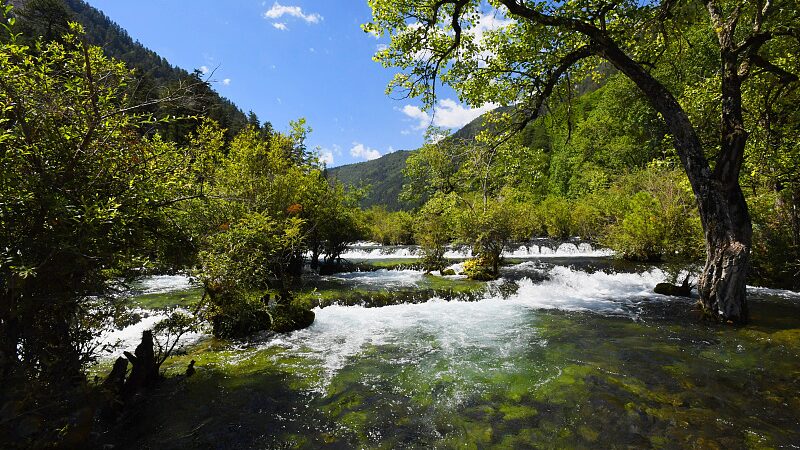 Discover_the_Tranquil_Beauty_of_Shuzheng_Valley_in_Jiuzhaigou_poster - My Global News: Voices of a New Era Discover_the_Tranquil_Beauty_of_Shuzheng_Valley_in_Jiuzhaigou video poster