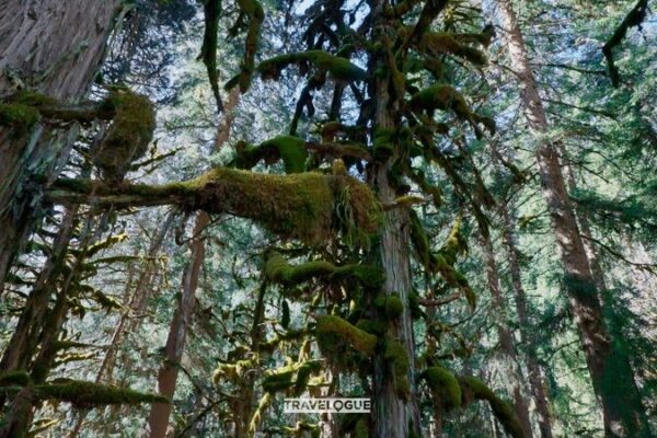 Discover_the_Untouched_Beauty_of_Mount_Siguniang_s_Valleys