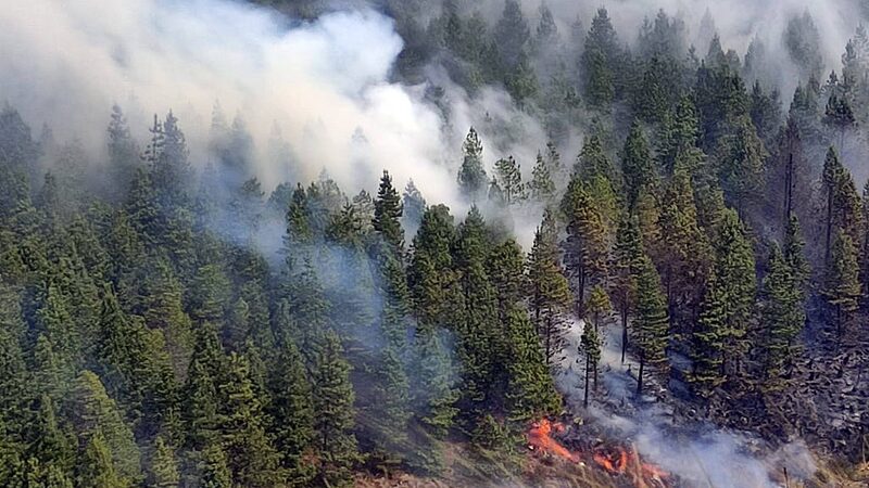 Ecuador Declares 60-Day National Emergency Over Wildfires and Drought Ecuador_Declares_60_Day_National_Emergency_Over_Wildfires_and_Drought