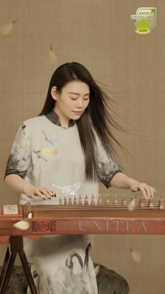 Elevate_Your_Tea_Ritual_with_Guzheng_Melodies video poster