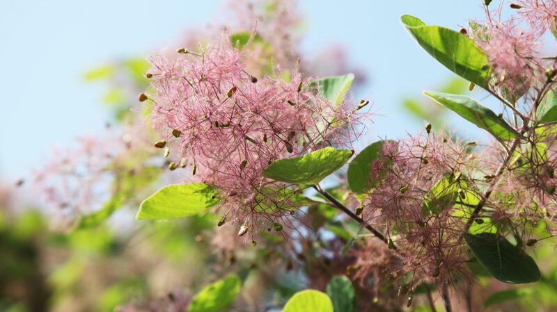 Escape_to_Beijing_s_Western_Hills__A_Green_Oasis_in_the_City