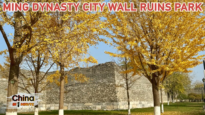 Experience Autumn at Beijing’s Ming City Wall Ruins Park Experience_Autumn_at_Beijing_s_Ming_City_Wall_Ruins_Park video poster