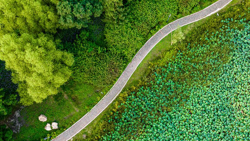 Experience_Tranquility_in_Changchun_s_Lush_Forest_Park