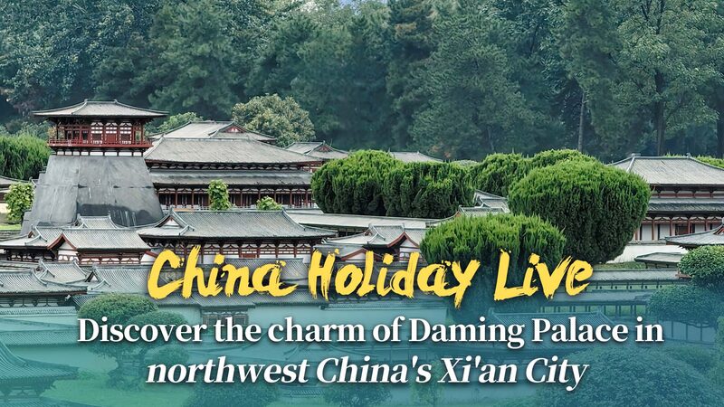 Experience the Timeless Beauty of Xi’an’s Daming Palace During China’s Golden Week Experience_the_Timeless_Beauty_of_Xi_an_s_Daming_Palace_During_China_s_Golden_Week video poster