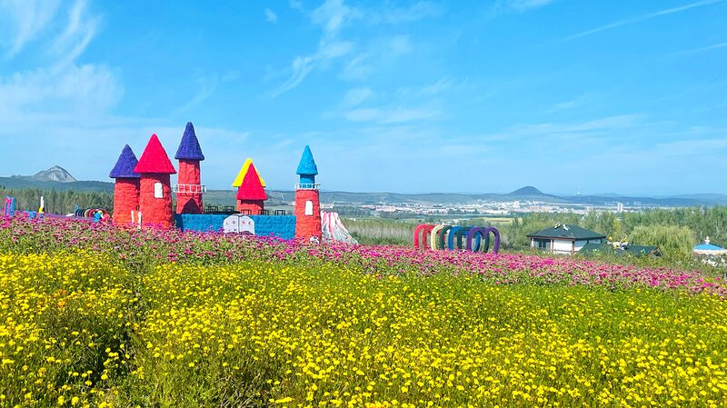 Experience_the_Vibrant_Floral_Sea_at_Jilin_s_Piyanshan_Scenic_Area - My Global News: Voices of a New Era Experience_the_Vibrant_Floral_Sea_at_Jilin_s_Piyanshan_Scenic_Area