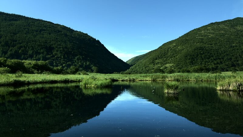Explore_Chongqing_s_Hidden_Gem__Wushan_Mountains__Congping_Wetland_poster - My Global News: Voices of a New Era Explore_Chongqing_s_Hidden_Gem__Wushan_Mountains__Congping_Wetland video poster