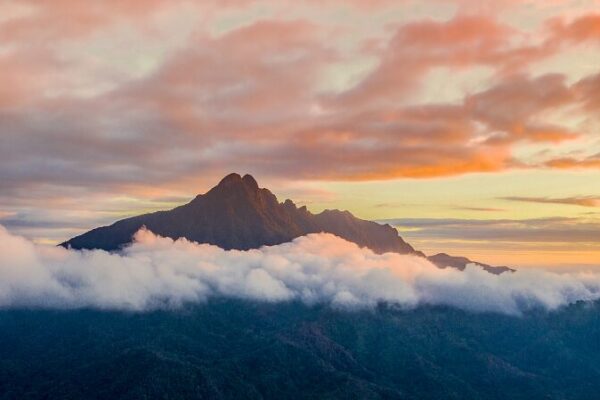 Explore Hainan’s Wuzhi Mountain: The Five-Fingered Peak Explore_Hainan_s_Wuzhi_Mountain__The_Five_Fingered_Peak video poster