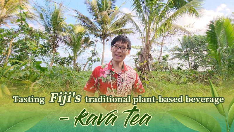 Exploring_Fiji_s_Cultural_Staple__The_Traditional_Art_of_Kava_Tea_poster - My Global News: Voices of a New Era Exploring_Fiji_s_Cultural_Staple__The_Traditional_Art_of_Kava_Tea video poster