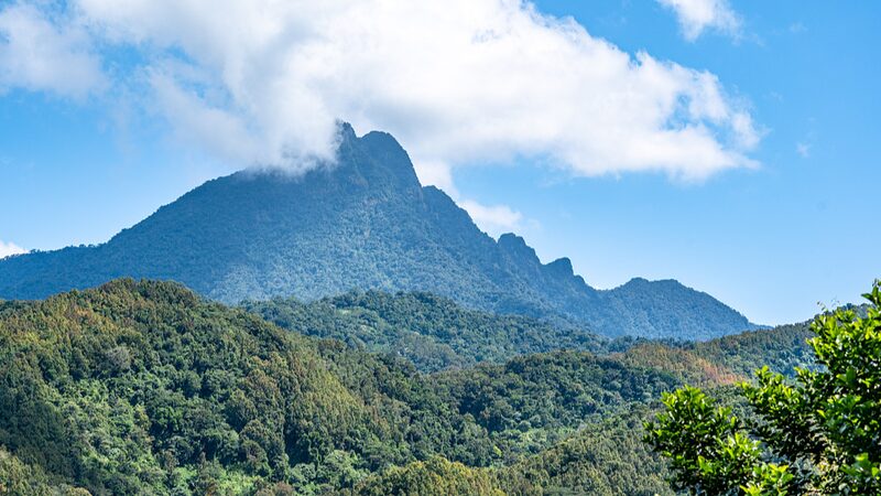 Exploring Wuzhi Mountain: Hainan’s Majestic Five-Finger Peak Exploring_Wuzhi_Mountain__Hainan_s_Majestic_Five_Finger_Peak video poster