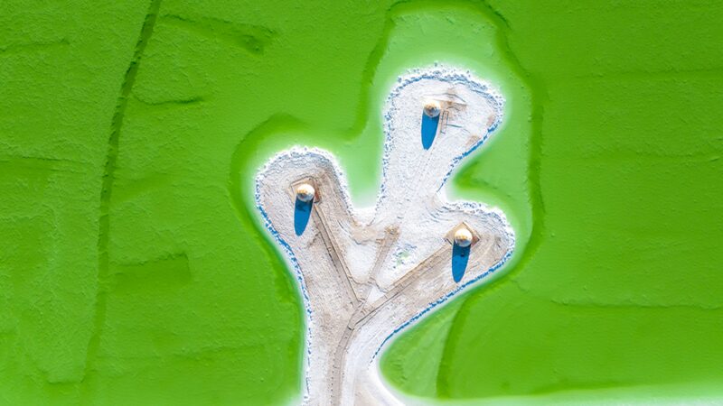 Exploring__Dopamine_Earth___China_s_Vibrant_Path_to_Happiness - My Global News: Voices of a New Era Exploring__Dopamine_Earth___China_s_Vibrant_Path_to_Happiness