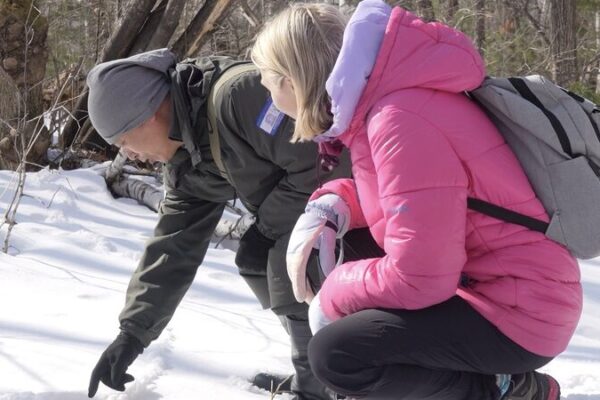 Exploring_the_Frozen_Wilderness__A_Wildlife_Adventure_on_Changbai_Mountain video poster