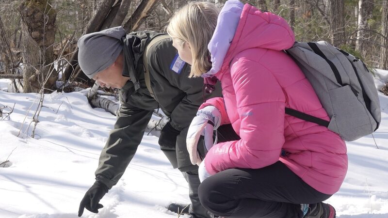 Exploring_the_Frozen_Wilderness__A_Wildlife_Adventure_on_Changbai_Mountain_poster - My Global News: Voices of a New Era Exploring_the_Frozen_Wilderness__A_Wildlife_Adventure_on_Changbai_Mountain video poster