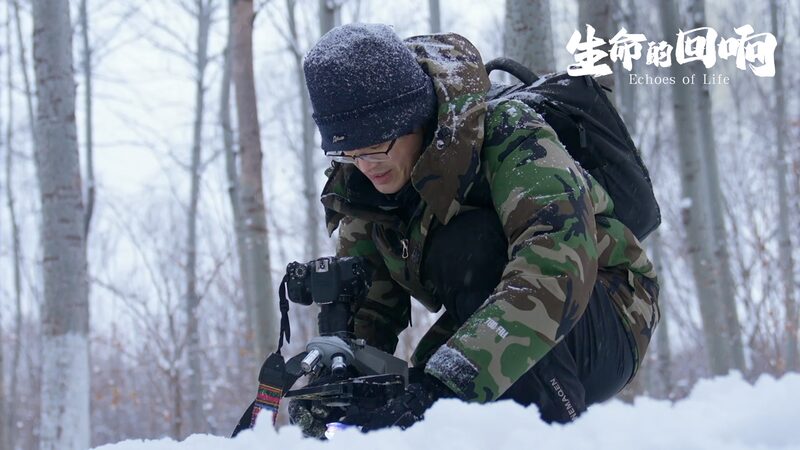 Exploring_the_Microscopic_Wonders_of_Snowflakes_with_Zhang_Chao