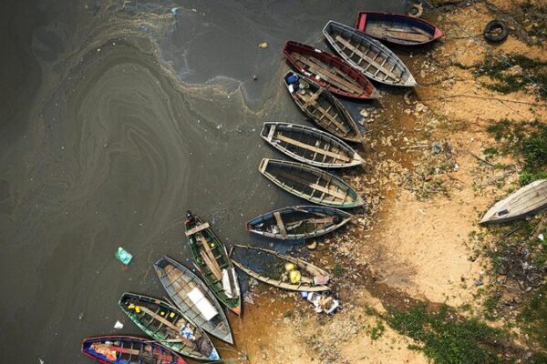 Extreme Heat Threatens Earth’s Carbon-Sequestering Ecosystems Extreme_Heat_Threatens_Earth_s_Carbon_Sequestering_Ecosystems