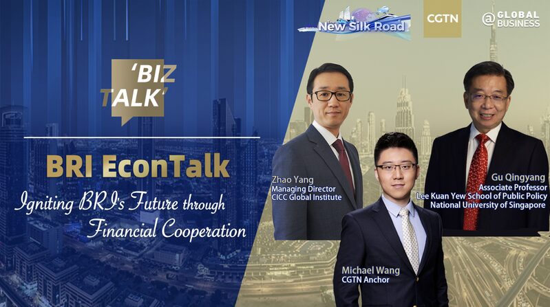 Financial Cooperation: Shaping the Future of the Belt and Road Initiative Financial_Cooperation__Shaping_the_Future_of_the_Belt_and_Road_Initiative video poster