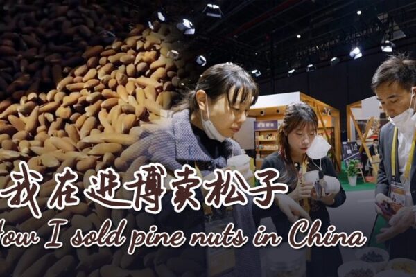 From Afghanistan to China: How Ali Faiz Sold Pine Nuts at CIIE From_Afghanistan_to_China__How_Ali_Faiz_Sold_Pine_Nuts_at_CIIE video poster
