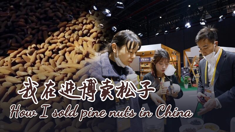 From_Afghanistan_to_China__How_Ali_Faiz_Sold_Pine_Nuts_at_CIIE_poster - My Global News: Voices of a New Era From_Afghanistan_to_China__How_Ali_Faiz_Sold_Pine_Nuts_at_CIIE video poster