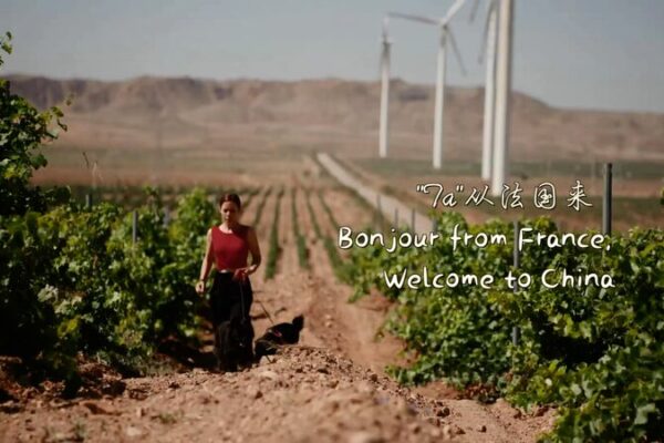 From Bordeaux to Ningxia: French Winemaker Finds New Home in China’s Wine Country From_Bordeaux_to_Ningxia__French_Winemaker_Finds_New_Home_in_China_s_Wine_Country video poster