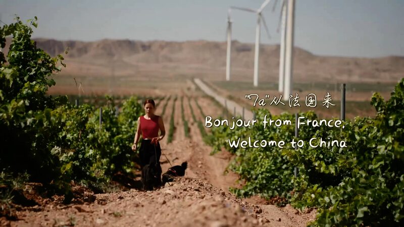 From_Bordeaux_to_Ningxia__French_Winemaker_Finds_New_Home_in_China_s_Wine_Country_poster - My Global News: Voices of a New Era From_Bordeaux_to_Ningxia__French_Winemaker_Finds_New_Home_in_China_s_Wine_Country video poster