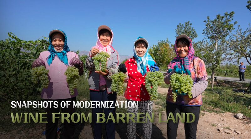 From_Desert_to_Vineyards__Haoyuan_Village_s_Wine_Revolution_poster - My Global News: Voices of a New Era From_Desert_to_Vineyards__Haoyuan_Village_s_Wine_Revolution video poster
