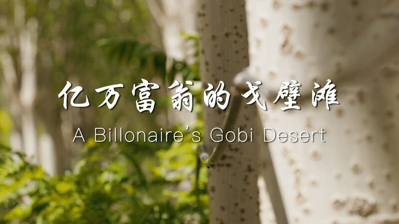 From Gobi Desert to Vineyards: A Billionaire’s Green Revolution From_Gobi_Desert_to_Vineyards__A_Billionaire_s_Green_Revolution video poster