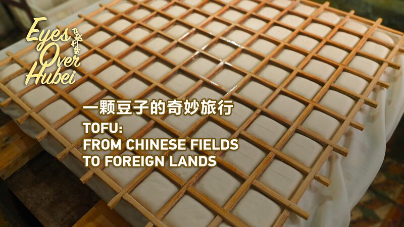 From_Hubei_to_the_World__The_Global_Rise_of_Tofu_Traditions_poster - My Global News: Voices of a New Era From_Hubei_to_the_World__The_Global_Rise_of_Tofu_Traditions video poster