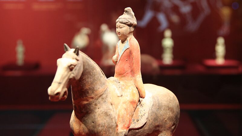 Fujian_Museum_Unveils_Stunning_Tang_Dynasty_Relics_Exhibition - My Global News: Voices of a New Era Fujian_Museum_Unveils_Stunning_Tang_Dynasty_Relics_Exhibition