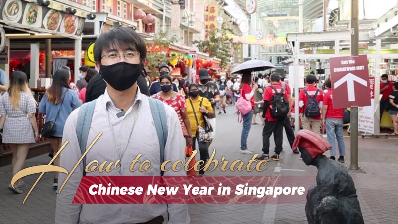 Fusion Festivities: Celebrating Chinese New Year in Singapore Fusion_Festivities__Celebrating_Chinese_New_Year_in_Singapore video poster