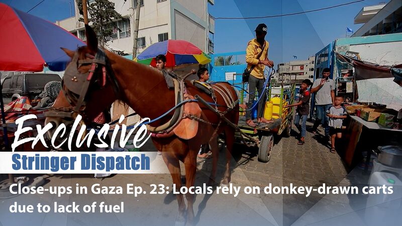 Gaza_s_Struggle__Donkey_Drawn_Carts_Replace_Cars_Amid_Fuel_Shortage_poster - My Global News: Voices of a New Era Gaza_s_Struggle__Donkey_Drawn_Carts_Replace_Cars_Amid_Fuel_Shortage video poster