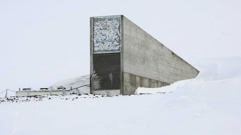 Global_Crop_Diversity_Protected__14_000_Seeds_Deposited_in_Norway_s_Svalbard_Vault - My Global News: Voices of a New Era Global_Crop_Diversity_Protected__14_000_Seeds_Deposited_in_Norway_s_Svalbard_Vault