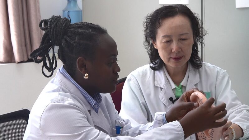 Global_Cultural_Bridges__From_Liberian_Acupuncture_to_Egyptian_Pyramids_in_Shanghai