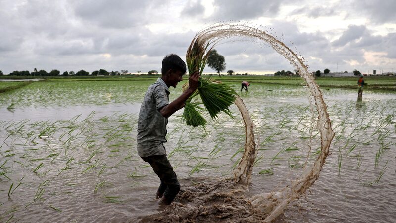 Global_Water_Shortage_Could_Halve_Food_Production_by_2050__Report_Warns - My Global News: Voices of a New Era Global_Water_Shortage_Could_Halve_Food_Production_by_2050__Report_Warns