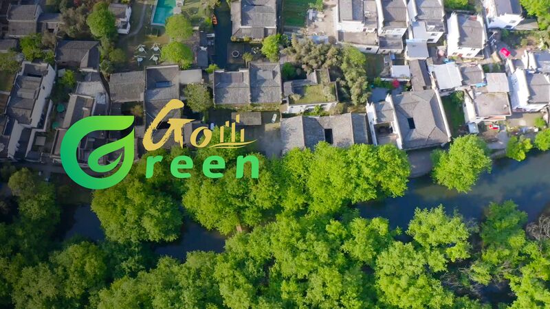 Go_Green__Discover_Xixinan_Village_s_Timeless_Water_Sustainability_poster - My Global News: Voices of a New Era Go_Green__Discover_Xixinan_Village_s_Timeless_Water_Sustainability video poster