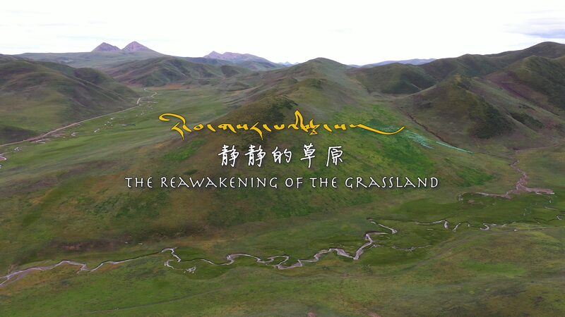 Grassland_Revival__How_Qinghai_Herders_Restore_Ecosystems_poster - My Global News: Voices of a New Era Grassland_Revival__How_Qinghai_Herders_Restore_Ecosystems video poster