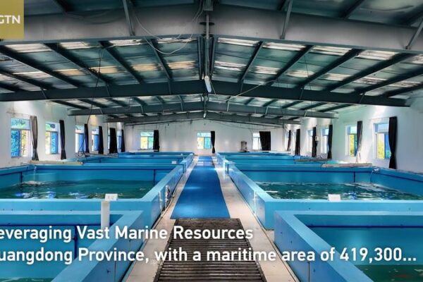 Guangdong_s_Aquaculture_Revolutionizes_Modern_Farming_on_the_Chinese_Mainland video poster