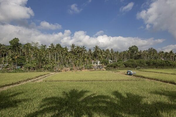 Hainan’s Tropical Expertise Fuels Agricultural Growth in Africa Hainan_s_Tropical_Expertise_Fuels_Agricultural_Growth_in_Africa video poster