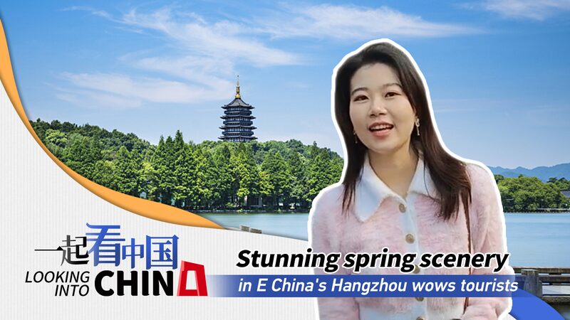 Hangzhouâs Spring Splendor: Ancient Blossoms Draw Global Wanderers Hangzhou_s_Spring_Splendor__Ancient_Blossoms_Draw_Global_Wanderers video poster