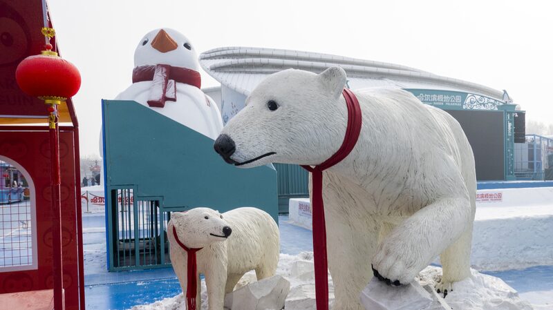Harbin_Polarpark_Attracts_Masses_with_Festive_Spring_Festival_Shows - My Global News: Voices of a New Era Harbin_Polarpark_Attracts_Masses_with_Festive_Spring_Festival_Shows