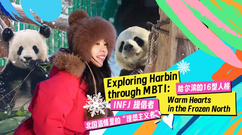 Harbin’s Gentle Pandas: Warm Hearts in the Chinese Mainland’s Frosty North Harbin_s_Gentle_Pandas__Warm_Hearts_in_the_Chinese_Mainland_s_Frosty_North video poster