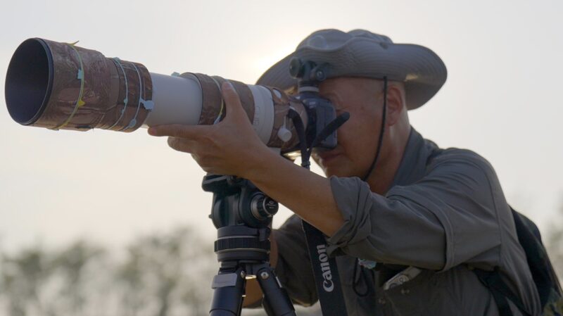 Harmony Keepers: Li Dongming’s Decade Safeguarding Migratory Birds Harmony_Keepers__Li_Dongming_s_Decade_Safeguarding_Migratory_Birds video poster