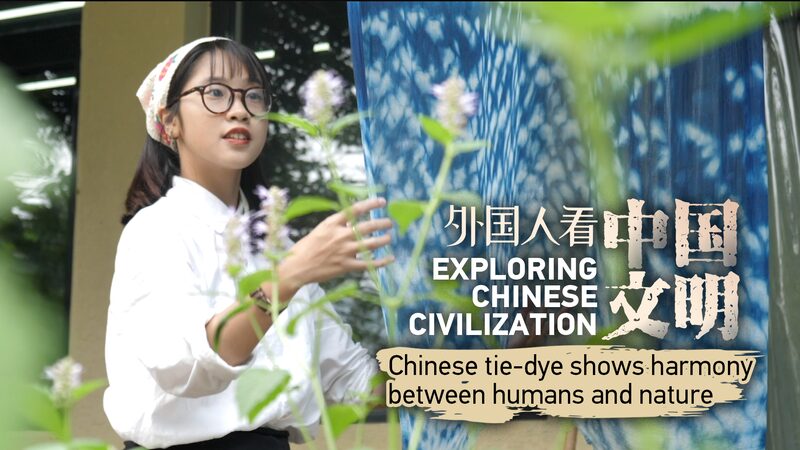 Harmony in Hues: Vietnamese Artist Embraces Chinese Plant-Based Tie-Dye Harmony_in_Hues__Vietnamese_Artist_Embraces_Chinese_Plant_Based_Tie_Dye video poster