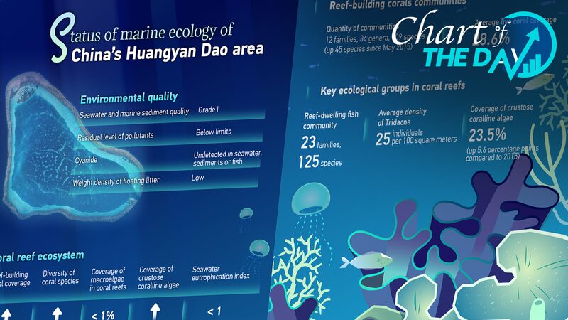 Healthy_Coral_Reefs_Highlight_Excellent_Environmental_Status_of_Huangyan_Dao