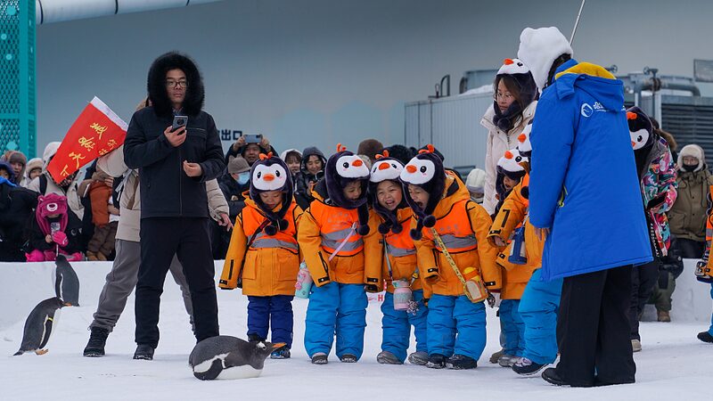Heartwarming Interactions Boost Heilongjiang and Guangxi Ties This Winter Heartwarming_Interactions_Boost_Heilongjiang_and_Guangxi_Ties_This_Winter
