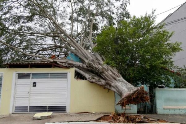 Heavy Rains in Brazil Claim 8 Lives Amid Intense Storms and Drought Heavy_Rains_in_Brazil_Claim_8_Lives_Amid_Intense_Storms_and_Drought
