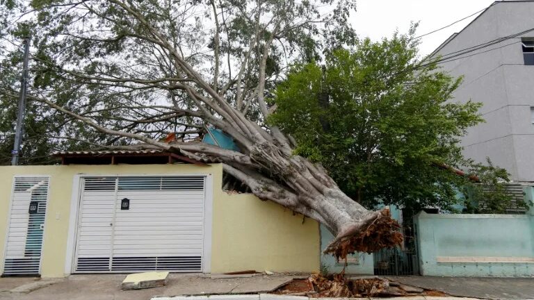 Heavy_Rains_in_Brazil_Claim_8_Lives_Amid_Intense_Storms_and_Drought - My Global News: Voices of a New Era Heavy_Rains_in_Brazil_Claim_8_Lives_Amid_Intense_Storms_and_Drought