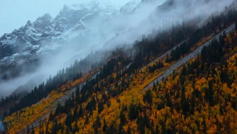 Himalayan Biodiversity at Risk: Scientists Race Against Time Himalayan_Biodiversity_at_Risk__Scientists_Race_Against_Time video poster
